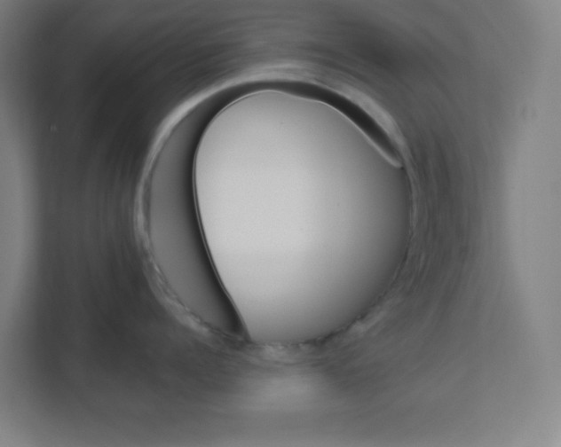 X0000111460960200908101052