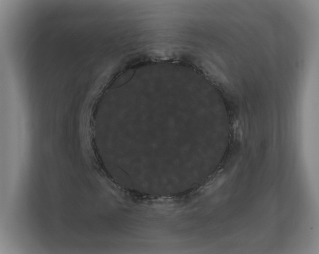 X0000111460961200908101051