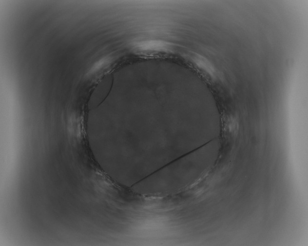 X0000111460965200908101051