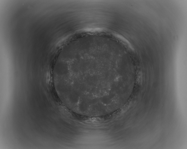 X0000111460966200908101051