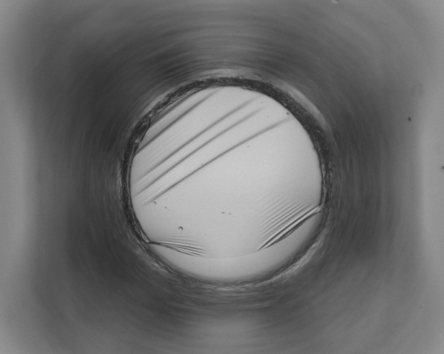 X0000111460969200908101051