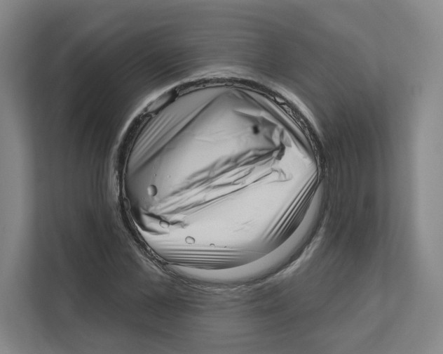 X0000111460973200908101051