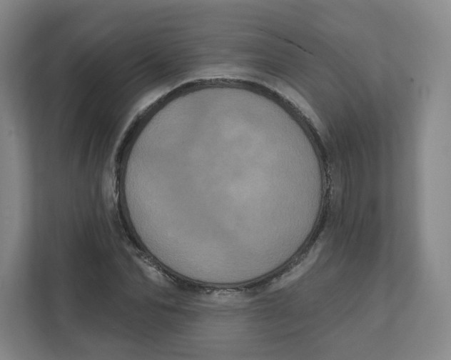 X0000111460974200908101051