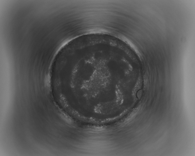 X0000111460975200908101051