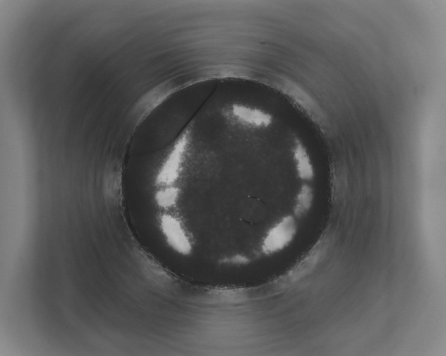 X0000111460977200908101051