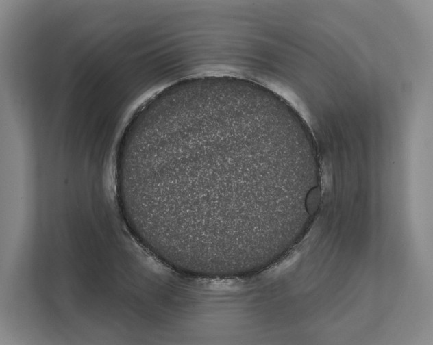 X0000111460979200908101051