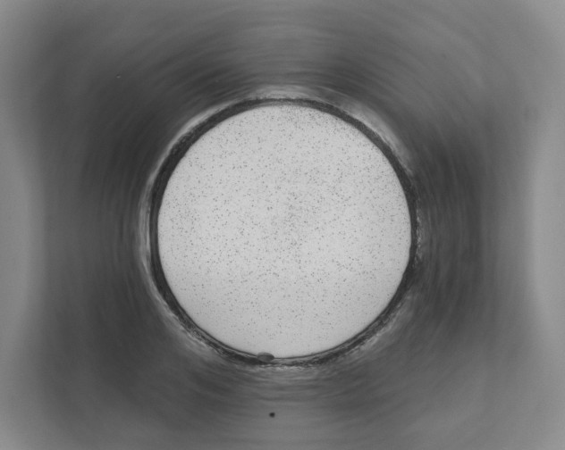 X0000111460984200908101051