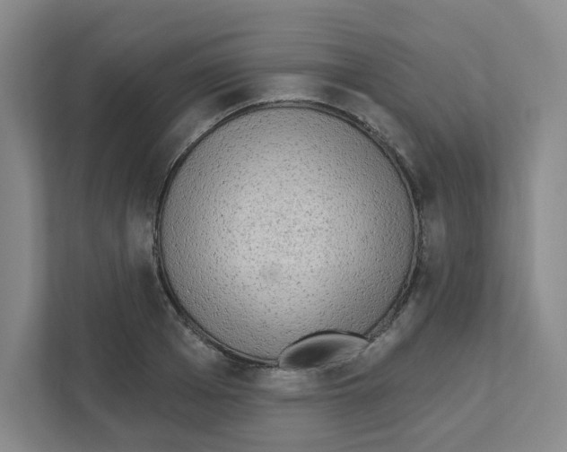 X0000111460985200908101051
