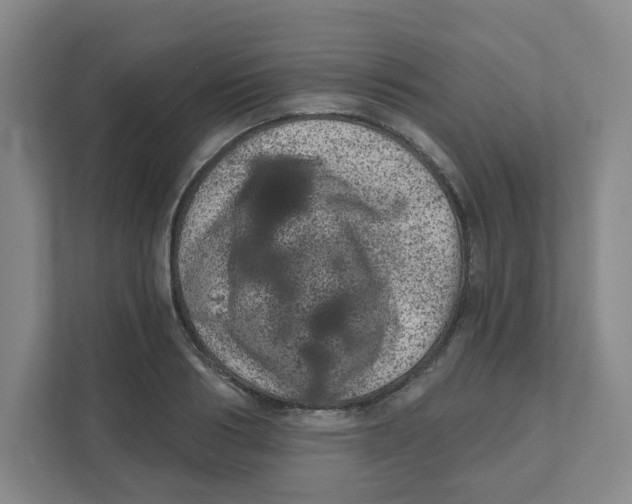 X0000111460986200908101051