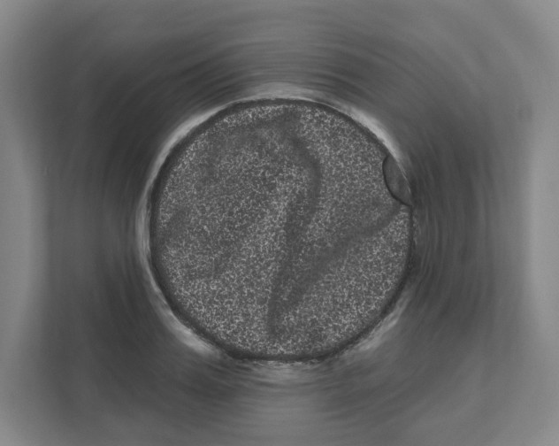 X0000111460987200908101051