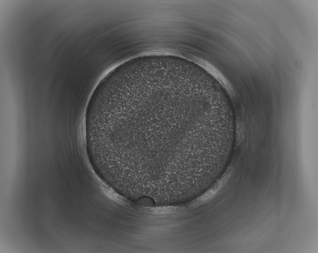 X0000111460988200908101051