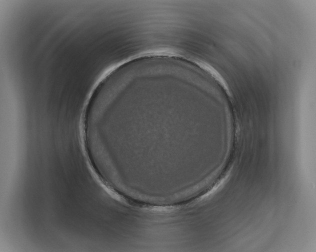 X0000111460989200908101051