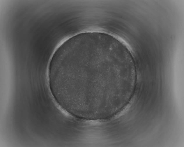 X0000111460990200908101051
