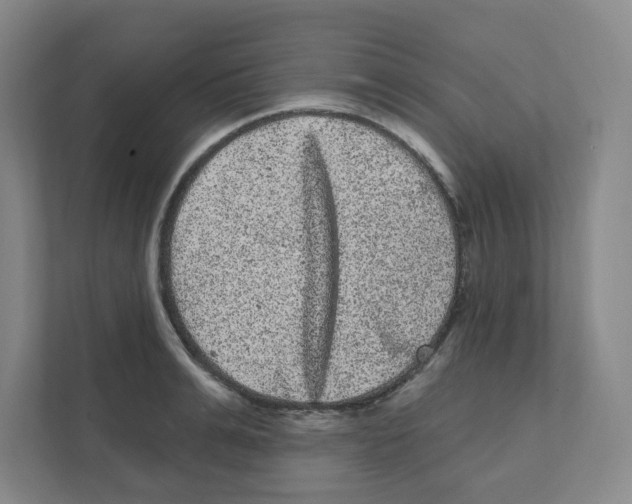 X0000111460991200908101051