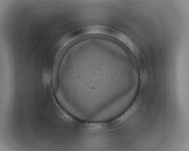 X0000111460993200908101051