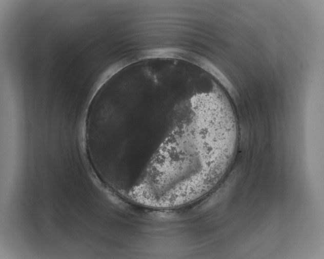 X0000111460994200908101051