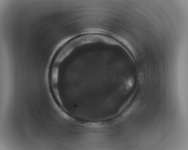 X0000111460995200908101051