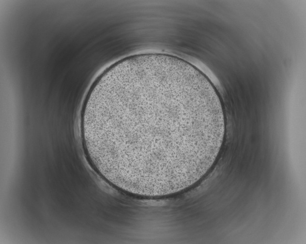 X0000111460996200908101051