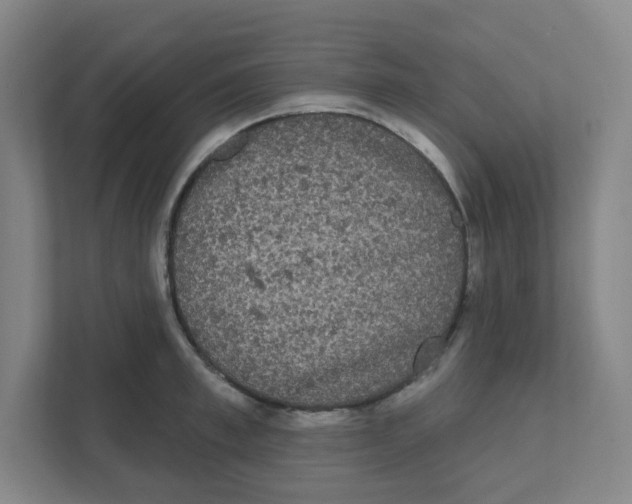 X0000111460997200908101051