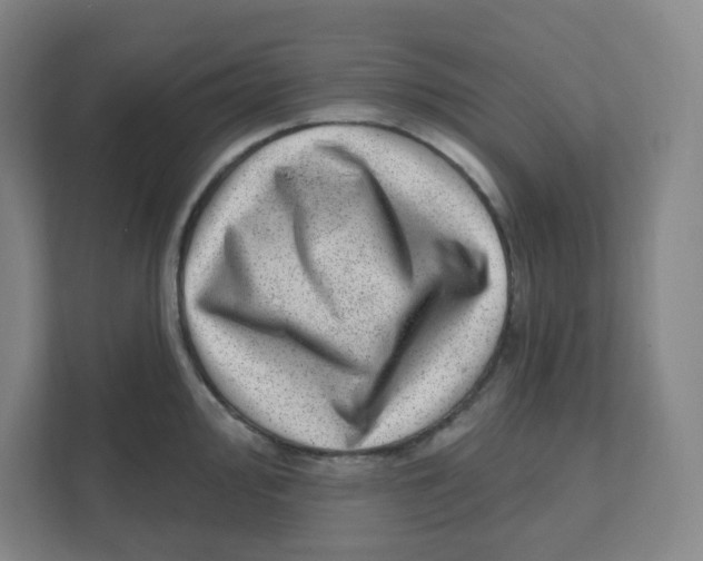 X0000111461000200908101051