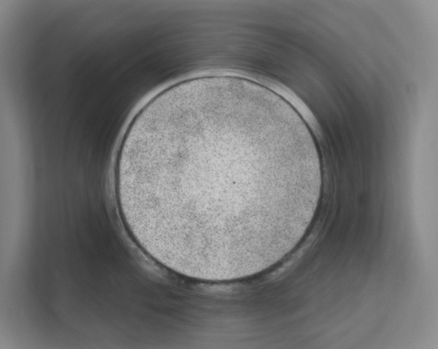 X0000111461004200908101051