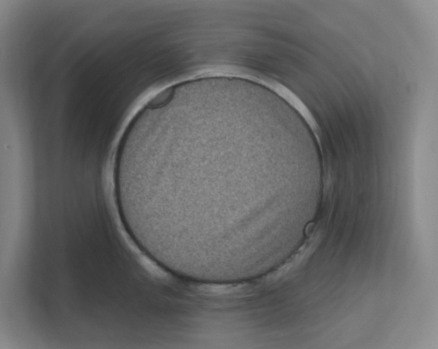 X0000111461005200908101051