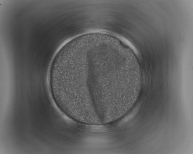 X0000111461007200908101051