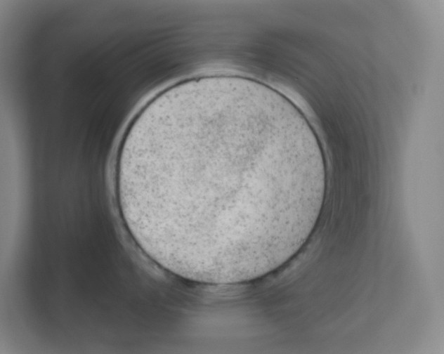 X0000111461008200908101051