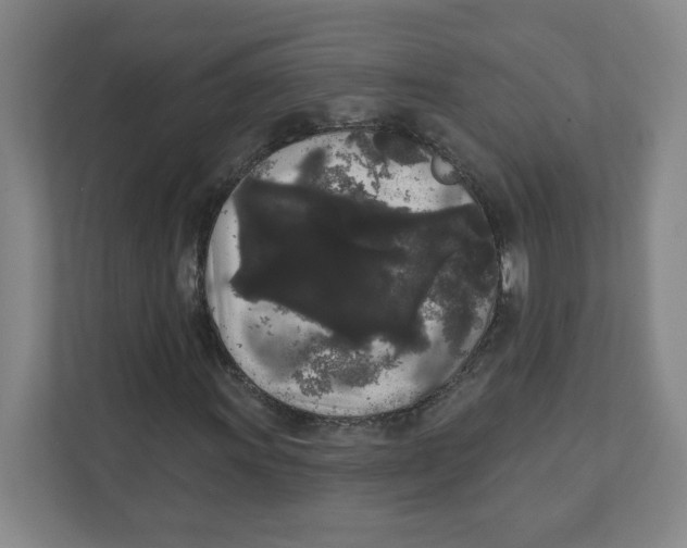 X0000111461011200908101050