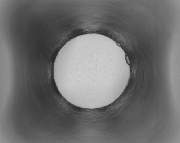 X0000111461012200908101050