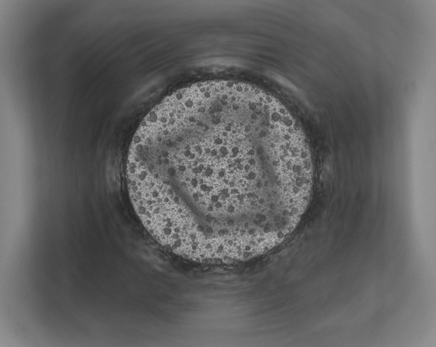 X0000111461014200908101050