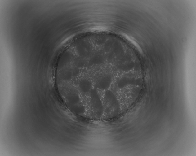 X0000111461015200908101050