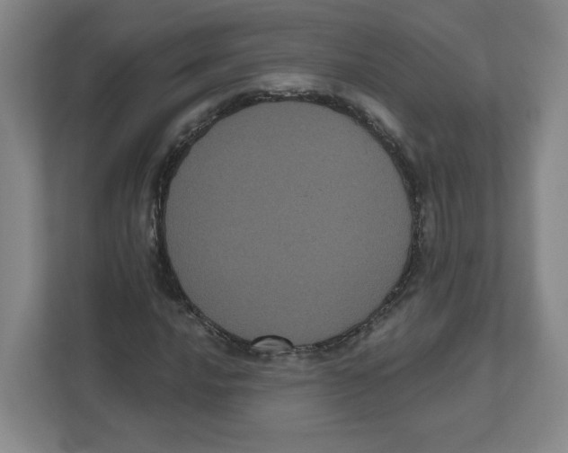 X0000111461016200908101050
