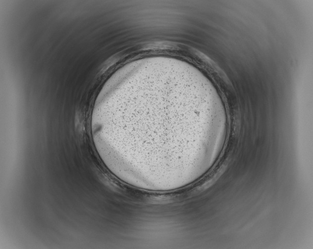 X0000111461017200908101050