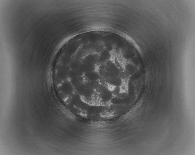 X0000111461019200908101050