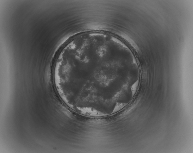 X0000111461023200908101050