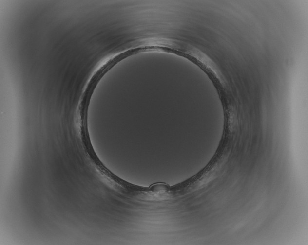 X0000111461024200908101050