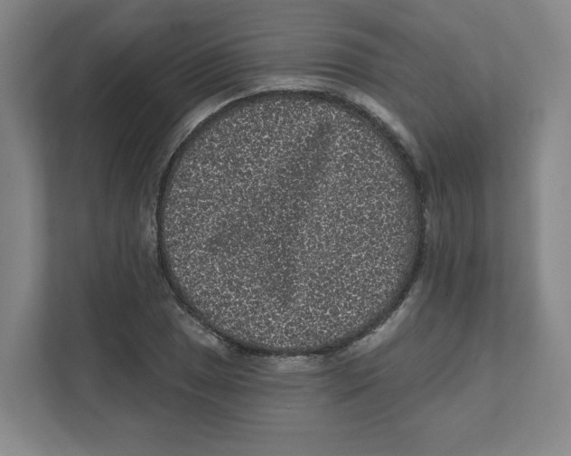 X0000111461025200908101050