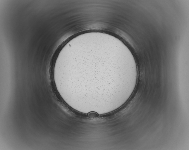 X0000111461026200908101050