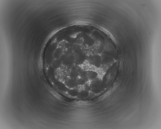 X0000111461027200908101050