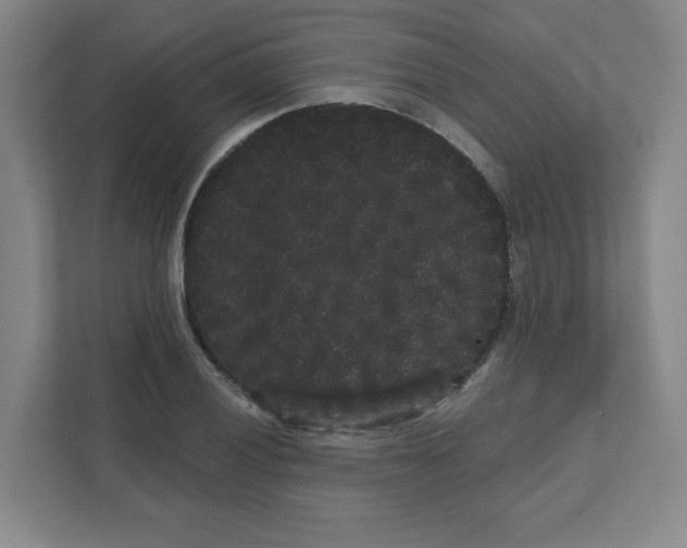 X0000111461028200908101050