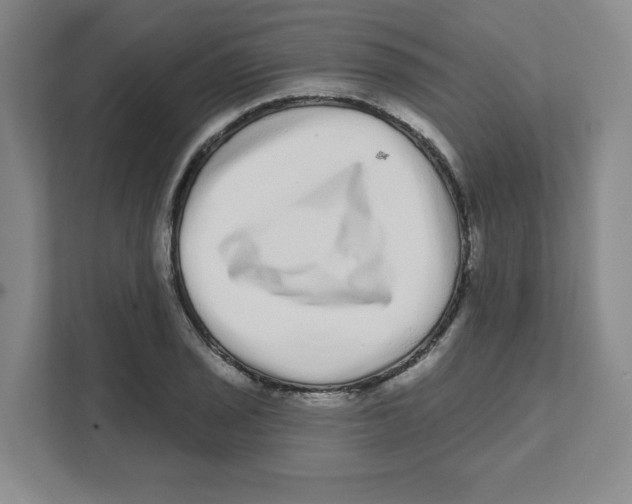 X0000111461029200908101050