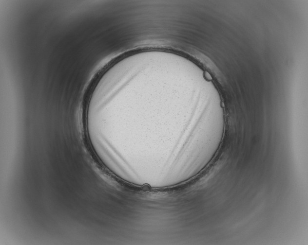 X0000111461030200908101050