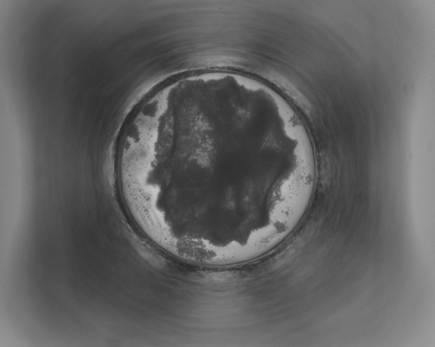 X0000111461031200908101050
