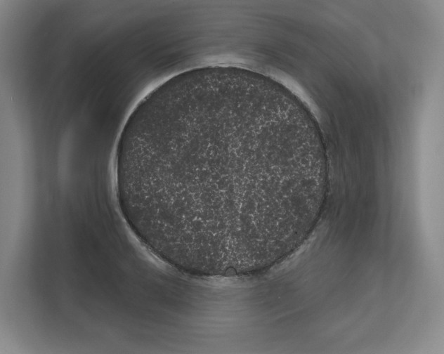 X0000111461032200908101050