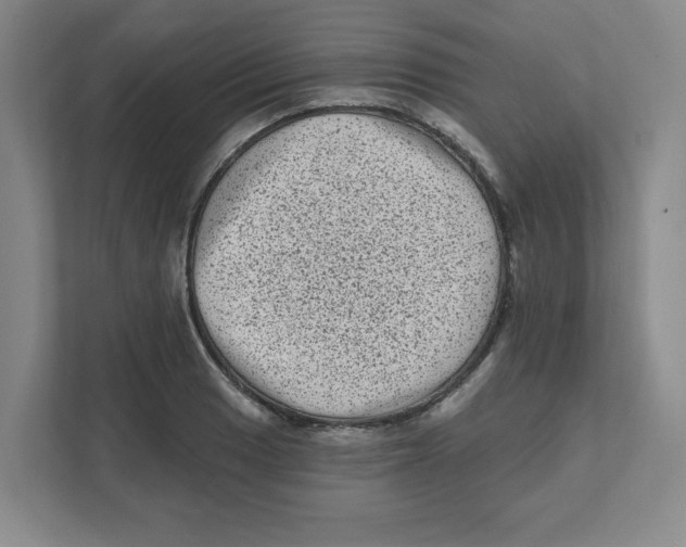 X0000111461033200908101050