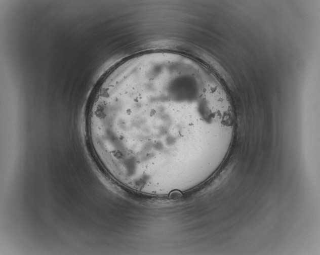 X0000111461034200908101050