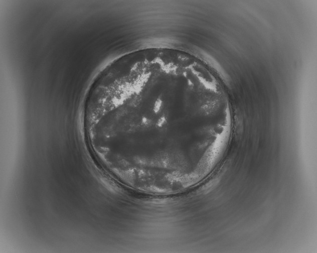 X0000111461035200908101050