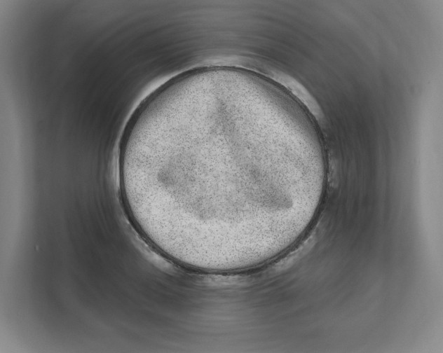 X0000111461036200908101050