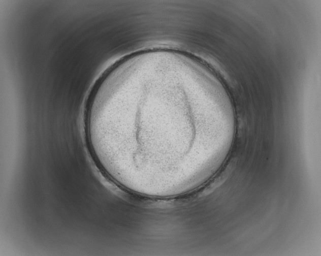 X0000111461038200908101050